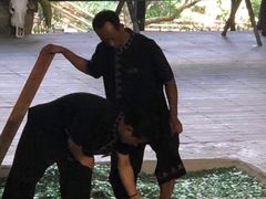 -呀诺达热带雨林