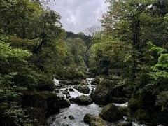 -龙苍沟森林公园
