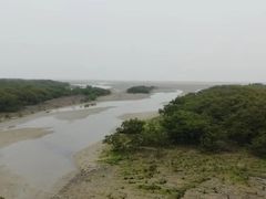 -北海金海湾红树林生态旅游区
