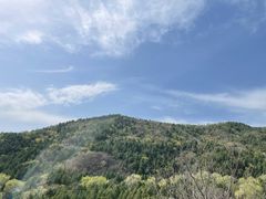 -北京十三陵国家森林公园蟒山景区