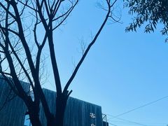 -Local泰莲庭(虹鳟鱼店)