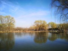 -西安浐灞国家湿地公园