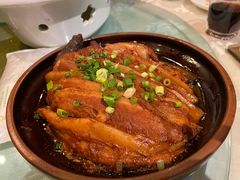 -食家鸽园