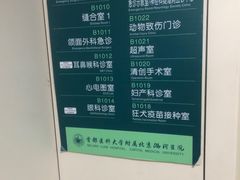 -首都医科大学附属北京潞河医院