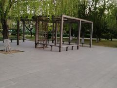 -望湖公园