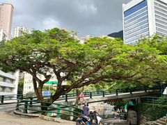 -香港大学
