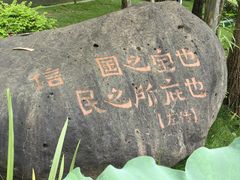 -陈家山荷花公园