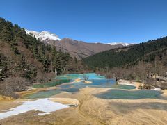 -黄龙山原始森林景区