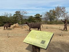 -北京西山国家森林公园