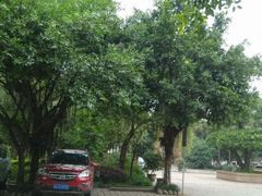 android_upload_pic-天赐温泉