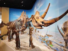 -国家自然博物馆