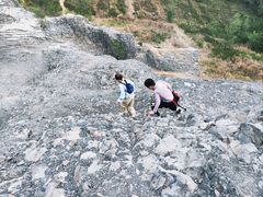 -淇河国家湿地公园