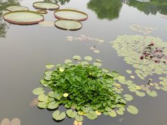 -国家植物园南园