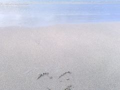 -库塔海滩