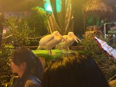 -广州长隆国际大马戏