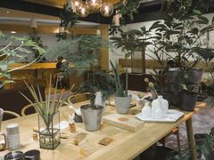 -柴务处·柴犬主题狗咖