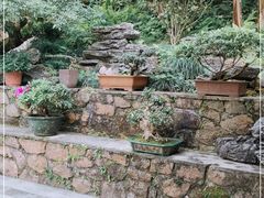 -深圳仙湖植物园