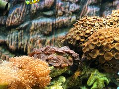 -北戴河圣蓝海洋公园