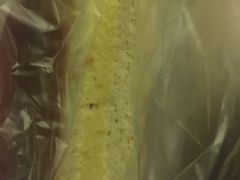 -巴黎贝甜(国贸店)