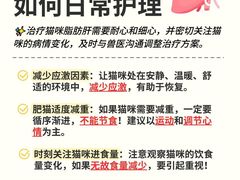 -芭比堂动物医院·CT·微创中心(新顺分院)