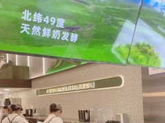 -茉酸奶(春熙路店)