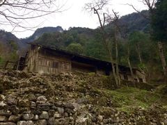 -鹿院坪生态旅游景区