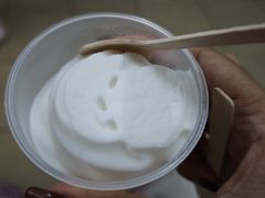 -洪馨椰子