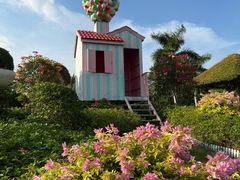 -东南花都花博园