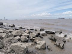 -上海滨江森林公园
