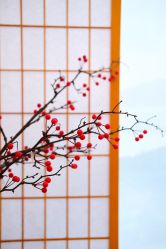 -宥莉·ULLY 痘敏肌•科技皮肤管理中心