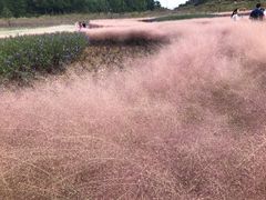 -云漫湖生态度假公园