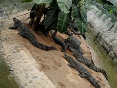 -石家庄市动物园