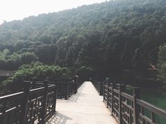 -九龙潭景区
