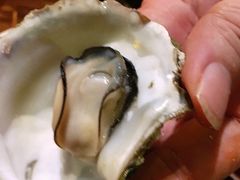 -土蚝·高压锅生蚝(百姓美食街店)