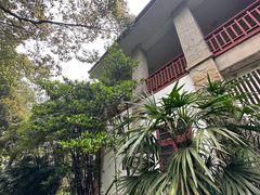 -南山植物园
