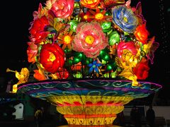 -锦江乐园舞狸花花游园会(夜场专享)