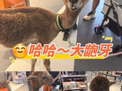 -威高广场