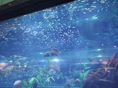 -海合安武汉极地海洋公园