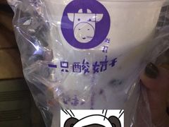-一只酸奶牛(八一路店)