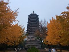 -玲珑塔公园