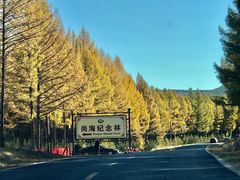 -塞罕坝国家级自然保护区