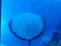 -珠海长隆海洋王国