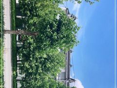 -龙口南山旅游景区