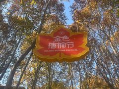 -西安交通大学(雁塔校区)