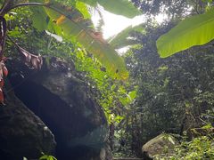 -七仙岭温泉国家森林公园