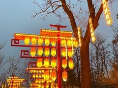 -青龙湖公园