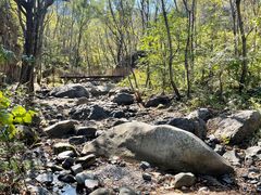 -云岫谷游猎自然风景区