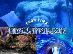 -正佳极地海洋世界