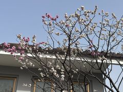 -无锡梅园公园