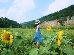-铜川市金锁关石林